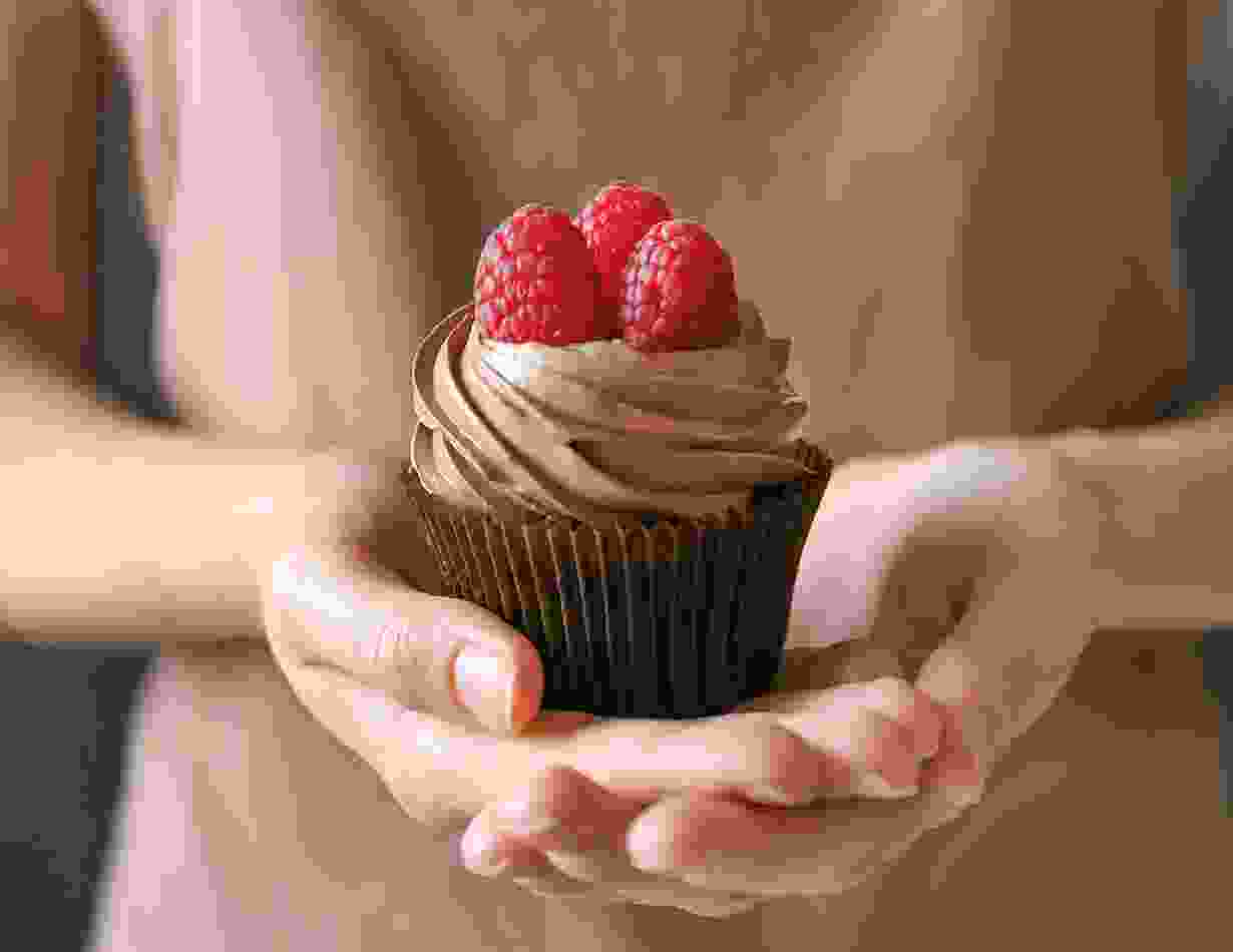 Aliquam ut dictum sapien